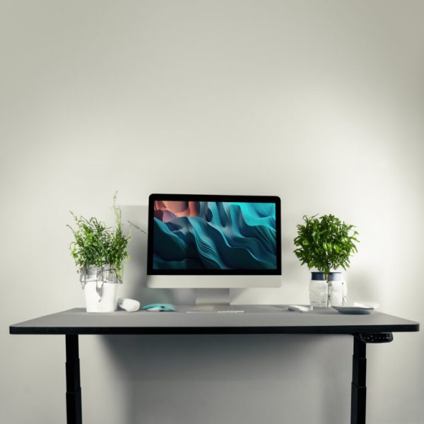 MXG SMD-02-AI Dual Motor SIT Stand Desk With APP Control 3 Stage Standard