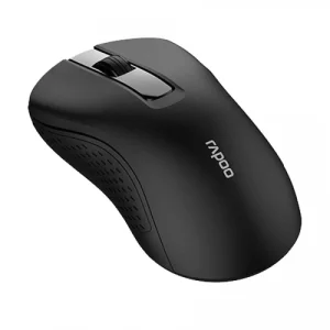 RAPOO B20 Wireless Optical Mouse